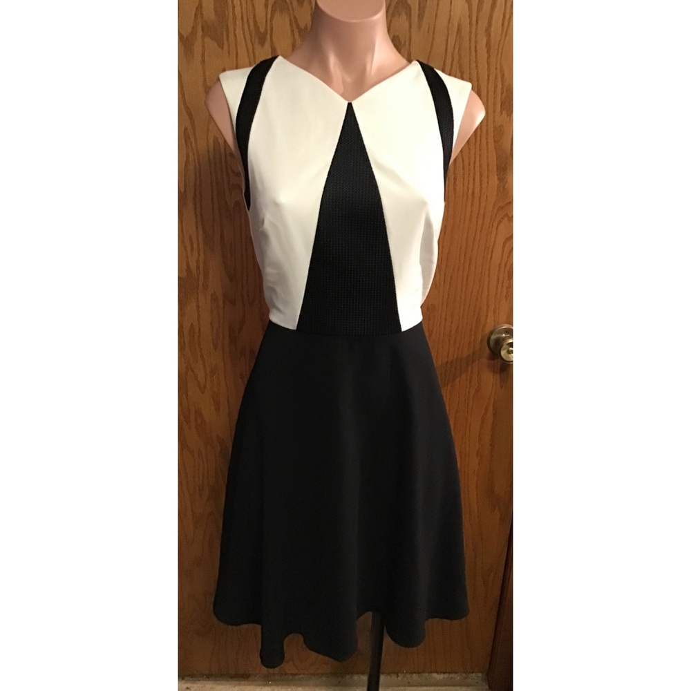 Badgley Mischka Textured Panel B&W Dress